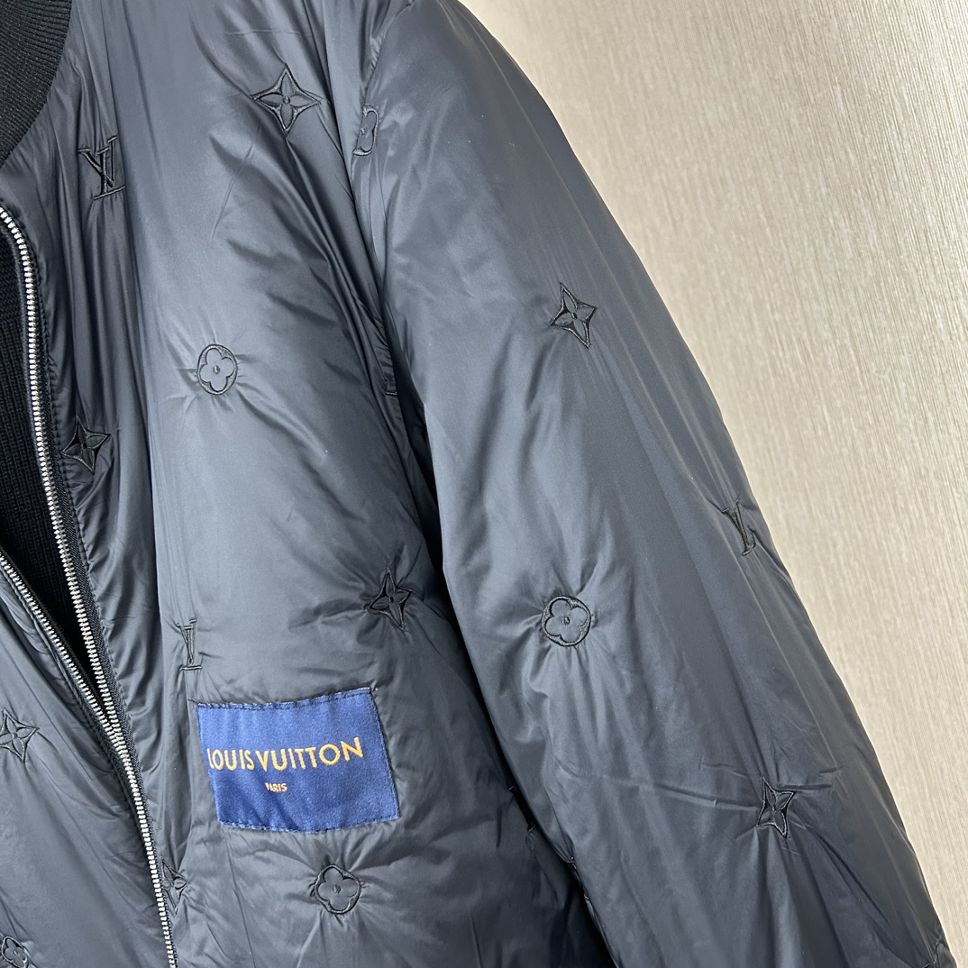 Louis Vuitton Down Jackets